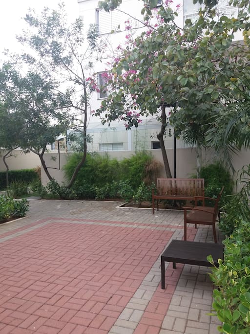 Jardim