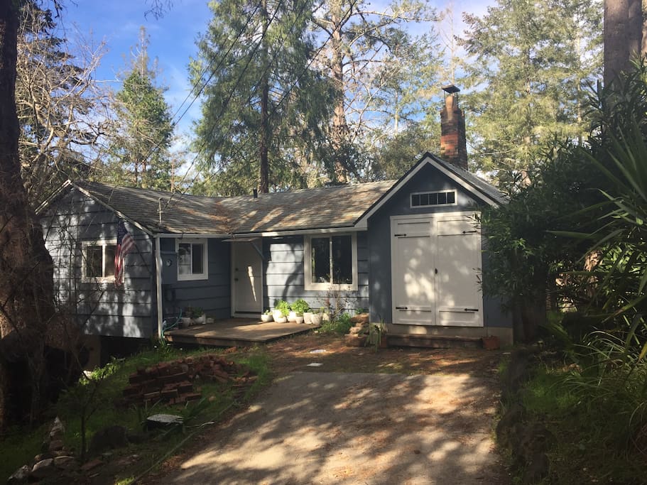 Nestled in the redwoods