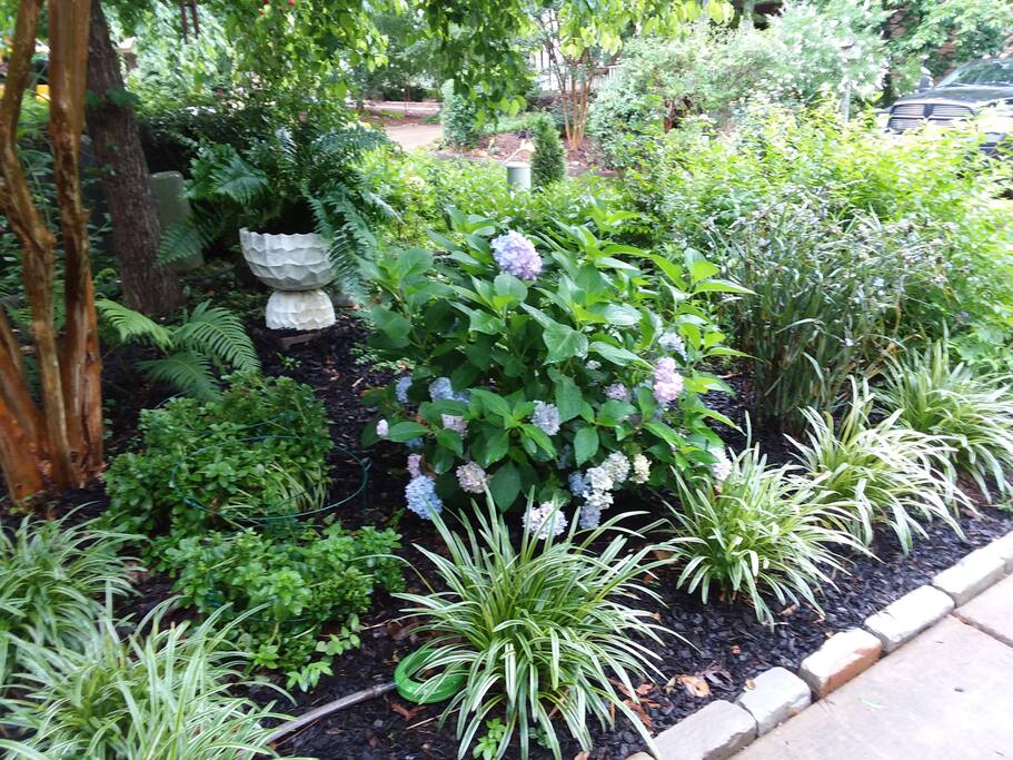 Front Side Yard