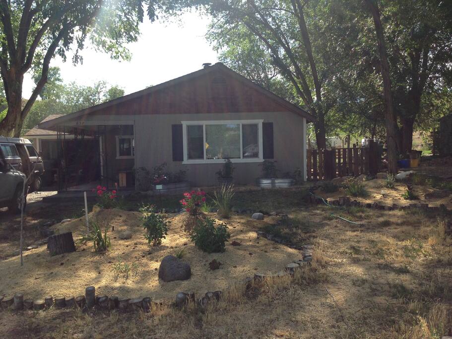 Front yard