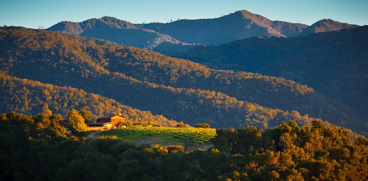 Vineyard Cottage with Stunning View