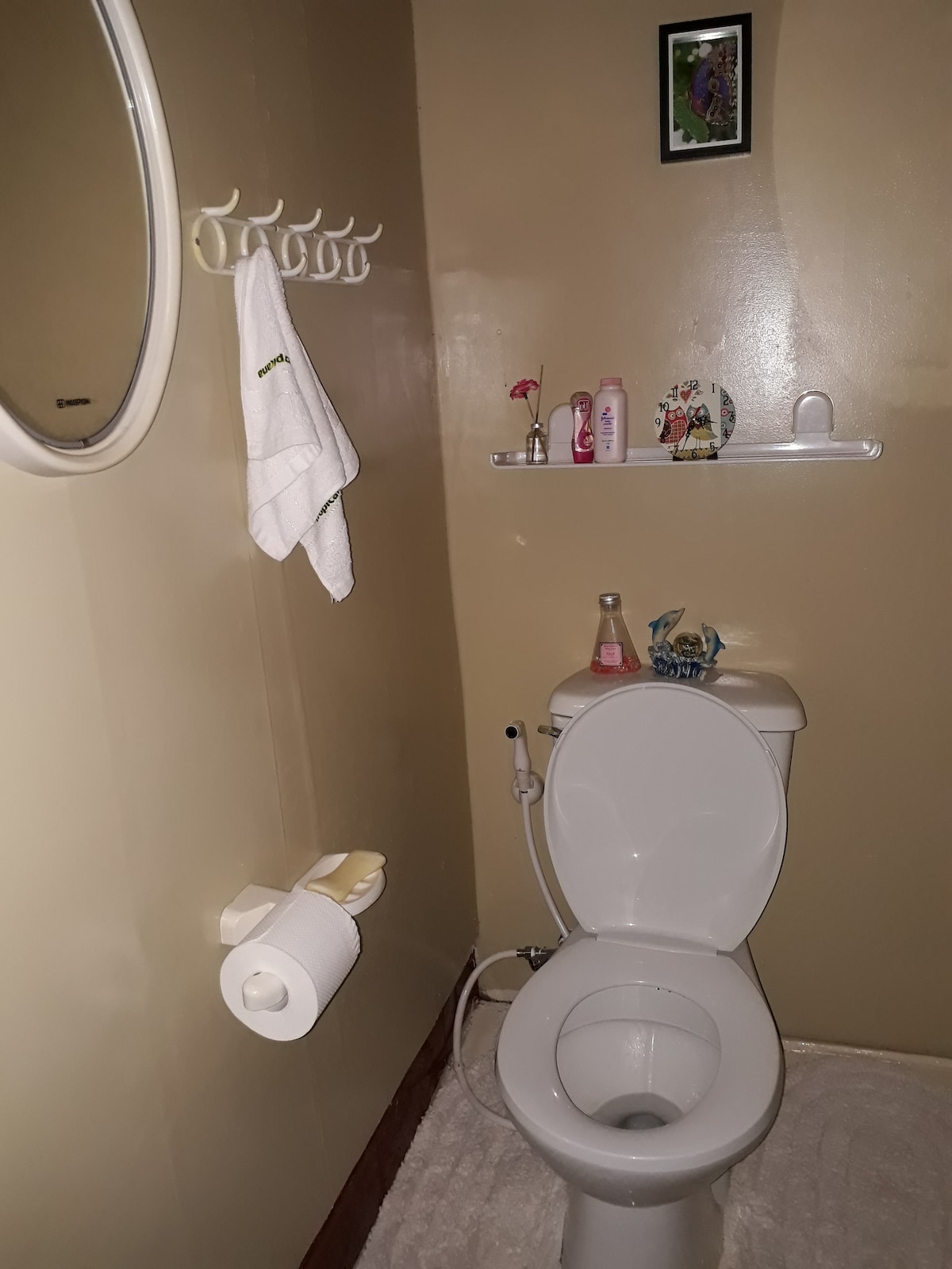 A bathroom space is shown, featuring a clean toilet and a mirror on the wall. Shelves hold personal care items, and a towel is hung nearby. A roll of toilet paper is placed within easy reach on the wall, complemented by a rug on the floor.
