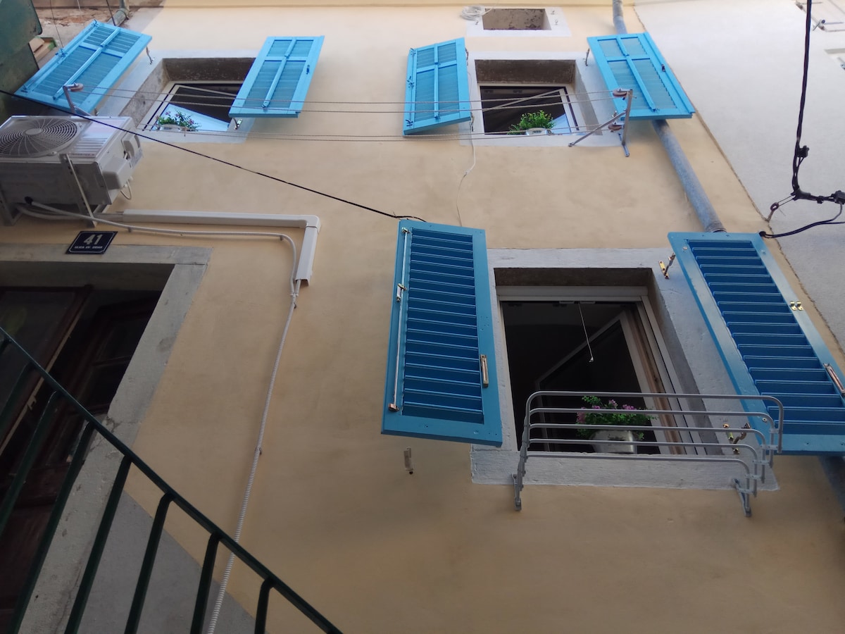Blue shutters line a warm beige facade, creating a charming collection of windows. Greenery can be seen peeking through the windows, while a metal railing adds structure to the scene. An air conditioning unit is visible, ensuring comfort in the apartment.