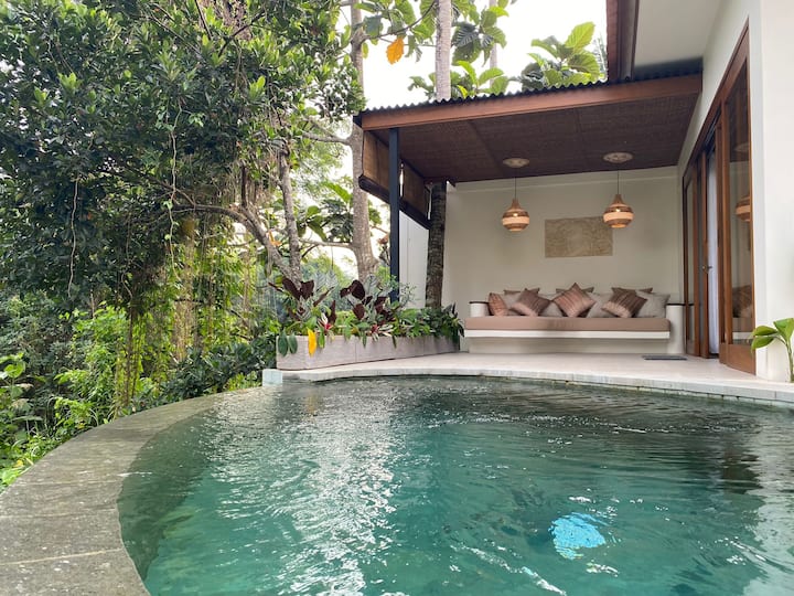 Newer Luxe Villa B, Private Pool, Jungle Views