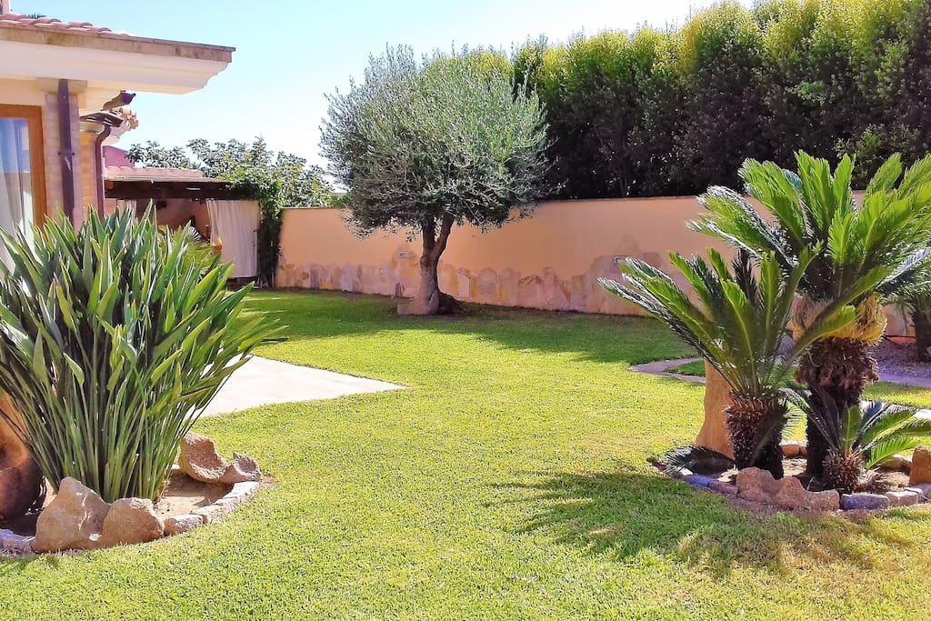 Panoramica del giardino