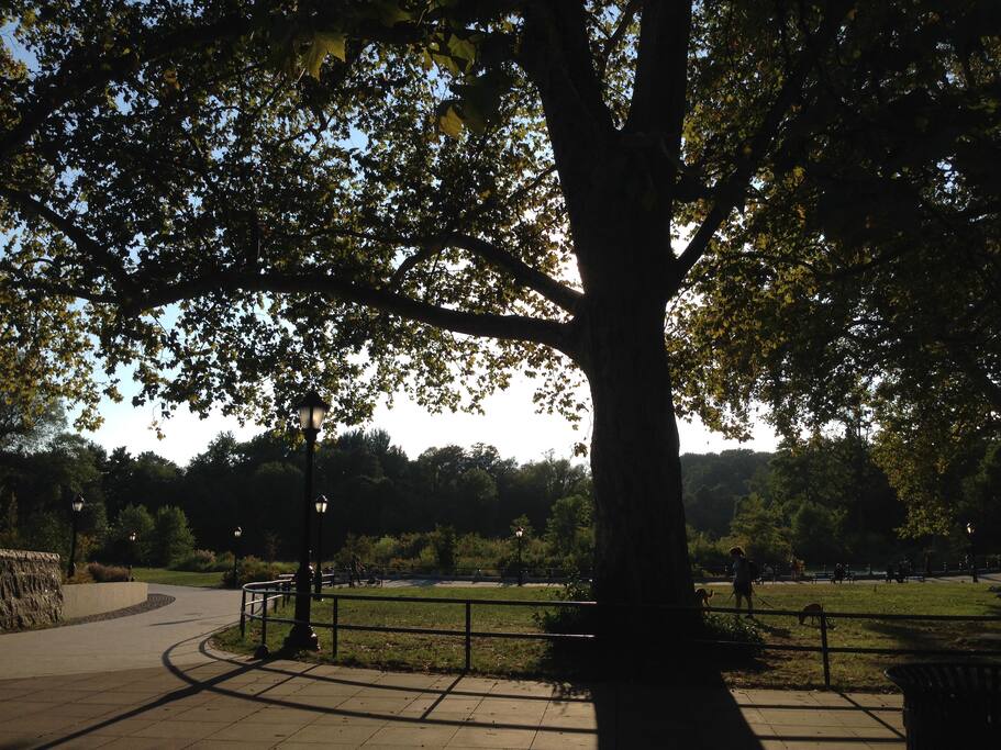 Prospect park is about a 35 minute bus ride