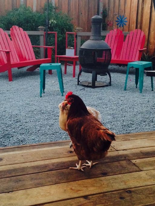 Just an average day in the yard.