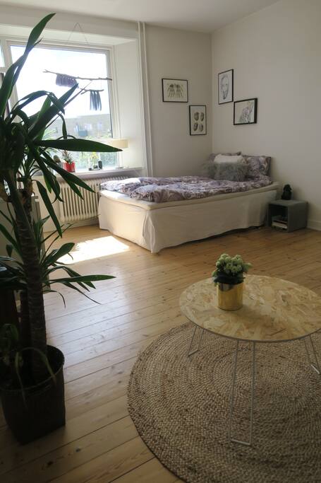 Bedroom/Living room