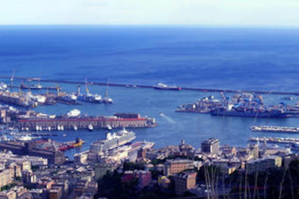 vista dalla casa