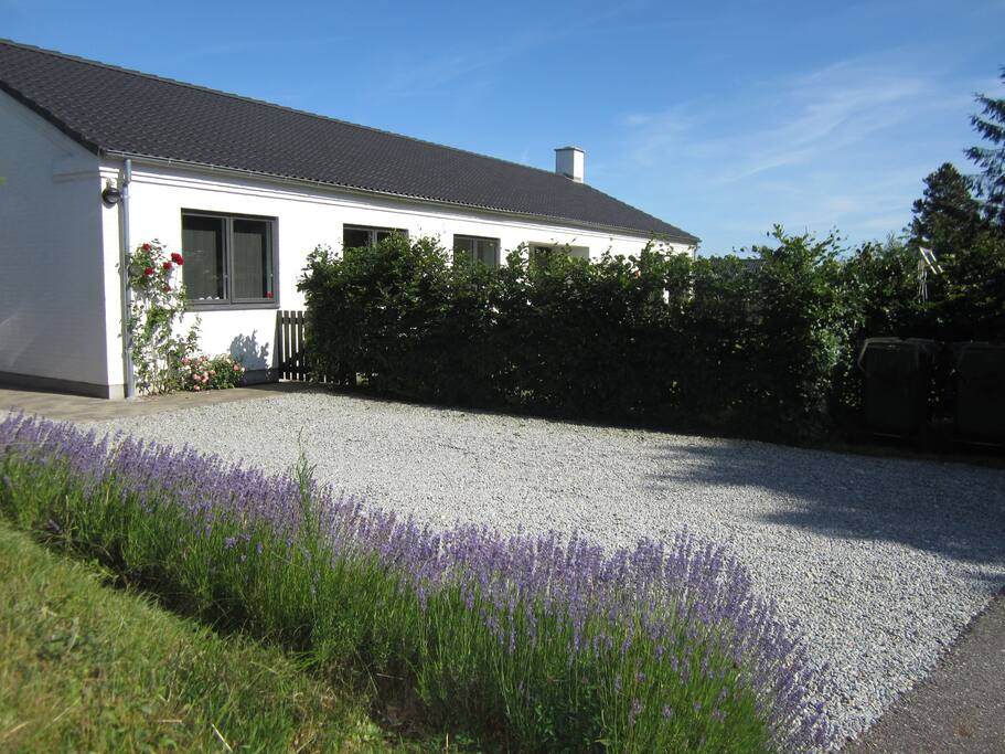 Husets indkørsel