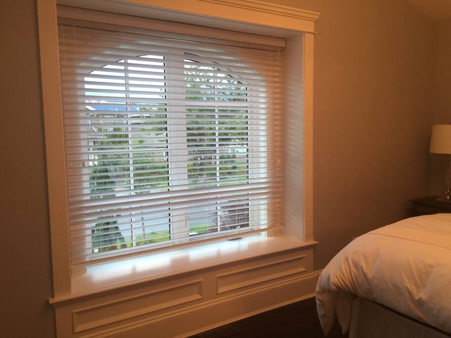 Window