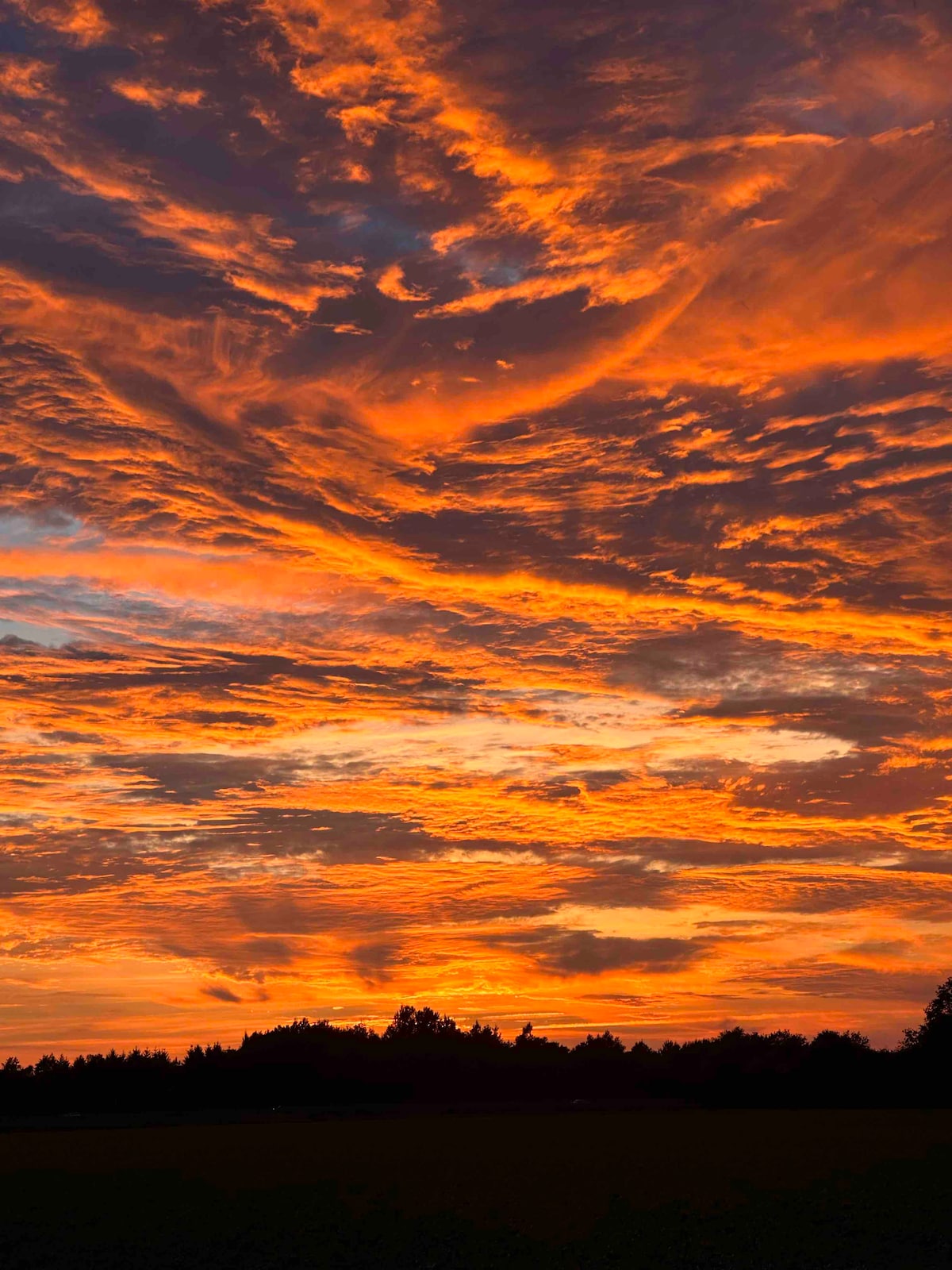 A striking sunset sky showcases vibrant hues of orange and red, with clouds artistically layered across the horizon. The silhouette of treetops is visible at the bottom, creating a contrast with the colorful sky, offering a serene and picturesque natural view.