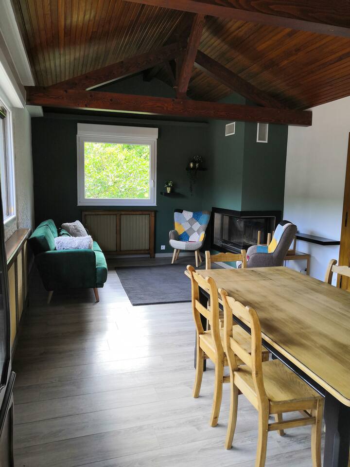 Au Fil Du Reucy (Haut) - 6 P - Garage Et Jardin - La Bresse