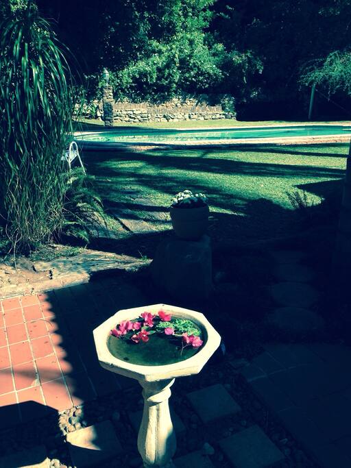 Late afternoon at the pool