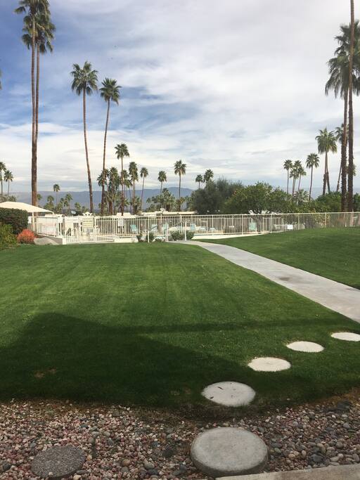 Back patio view