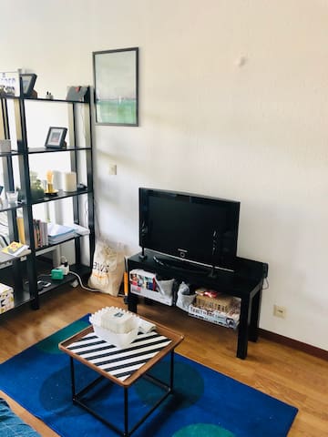 Furnished non-shared flat in city convenient place