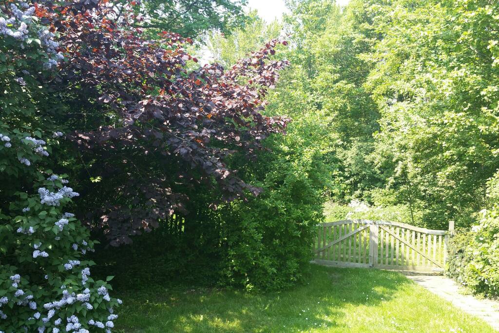 mei 2018: voortuin en entree
