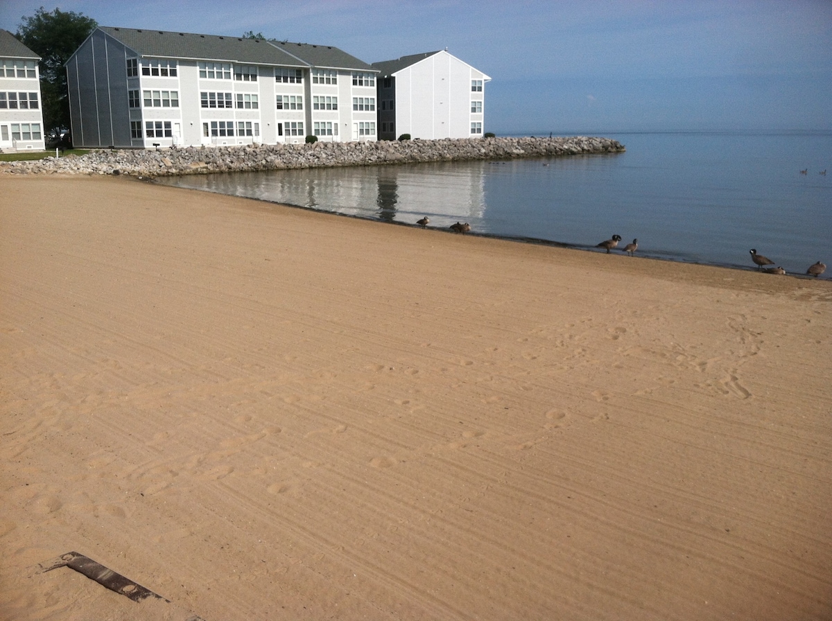 A sandy beach extends along the tranquil waterfront, with calm waters reflecting the nearby white and grey condominium buildings. Several birds are seen along the shore, adding to the serene environment. The setting invites relaxation by the water's edge.