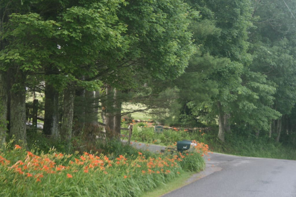 Take me home, country roads...
