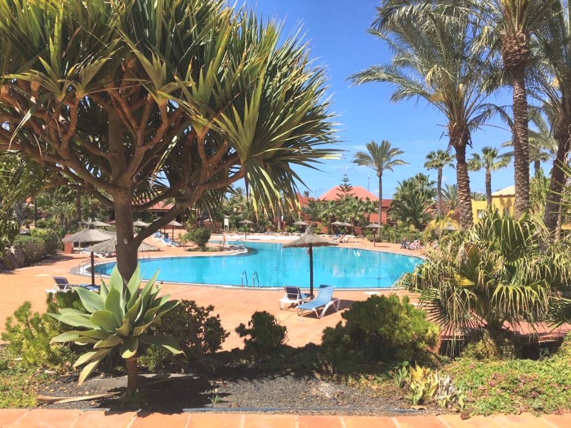 A large salt-water swimming pool is surrounded by palm trees and tropical plants, creating a tranquil outdoor atmosphere. Lounge chairs are arranged along the poolside, with umbrellas offering shade. The clear blue sky complements the vibrant colors of the surrounding resort buildings.