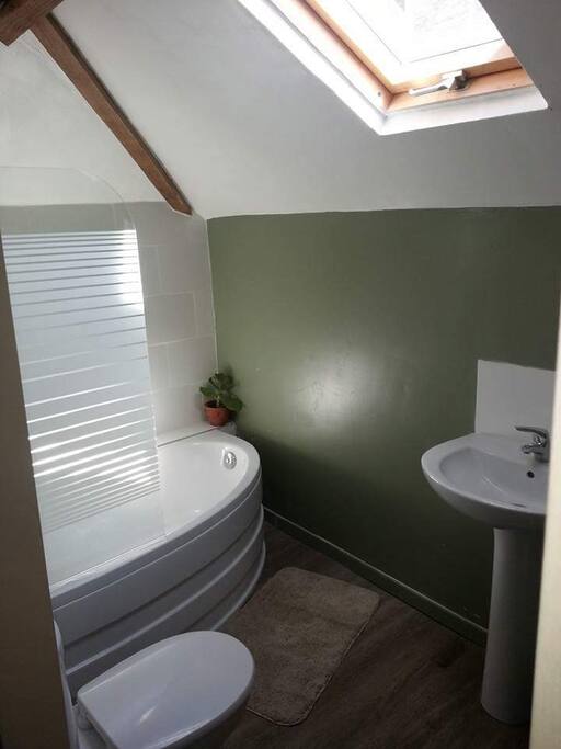 Bath and shower over bath.