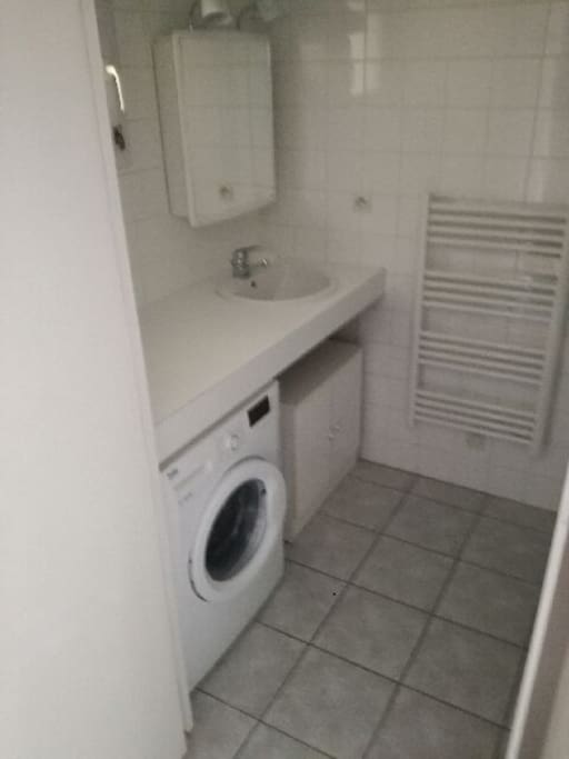 Sdb: douche, wc et lave linge