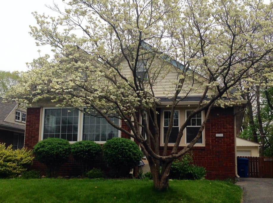 Beautiful brick home, wonderfully maintained.