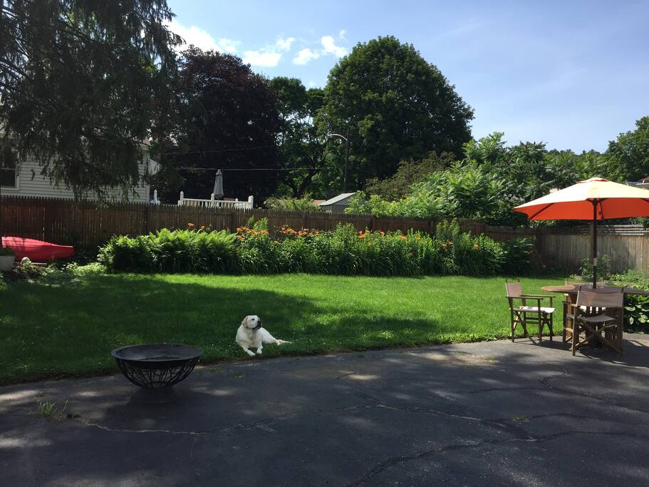 Large fenced yard with patio set, table tennis and a variety of back yard games
