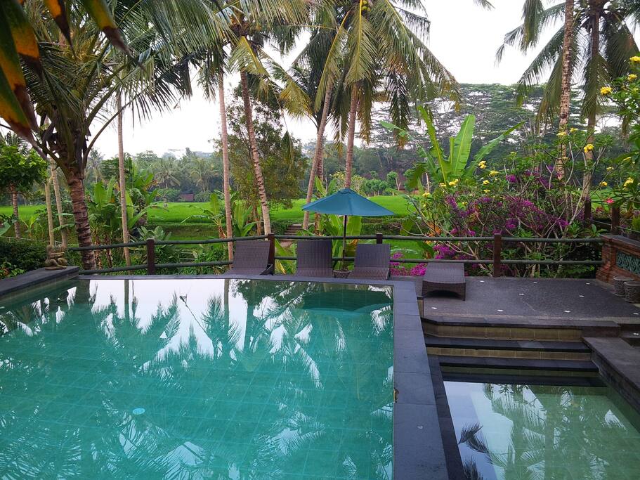 Enjoy Swim & Sun Bathing & Rice Field View