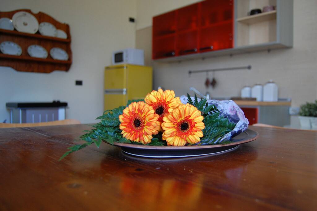 Cucina
