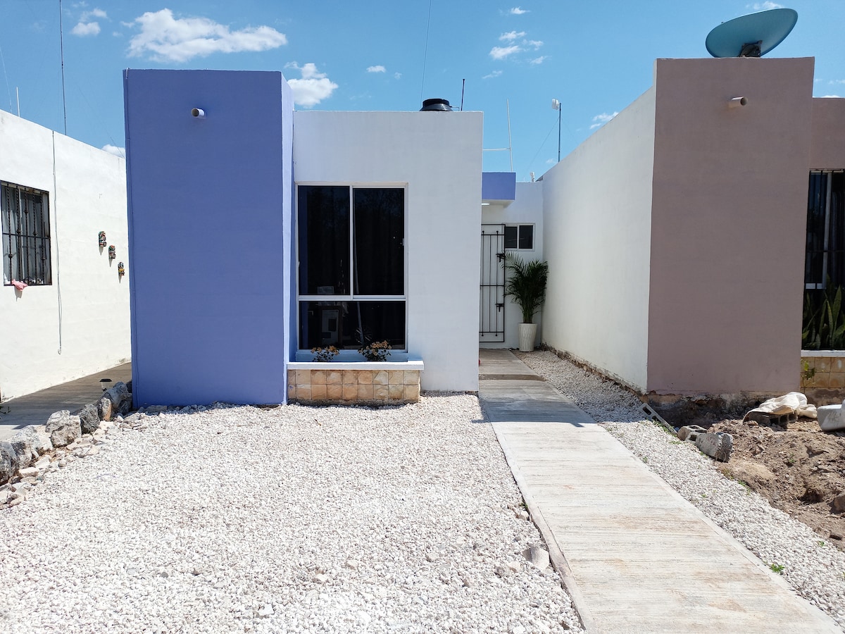 The exterior of the house features a light-colored facade with a prominent blue accent wall. A simple pathway leads to the entrance, flanked by a gravel area. Large windows provide natural light, while potted plants add a touch of greenery.