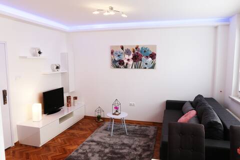 Apartman DINA ,centar grada Karlovca
