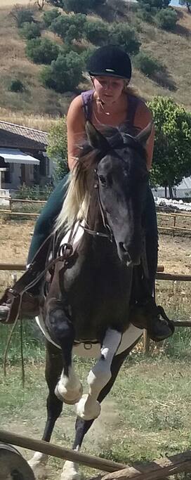 Riding Lessons