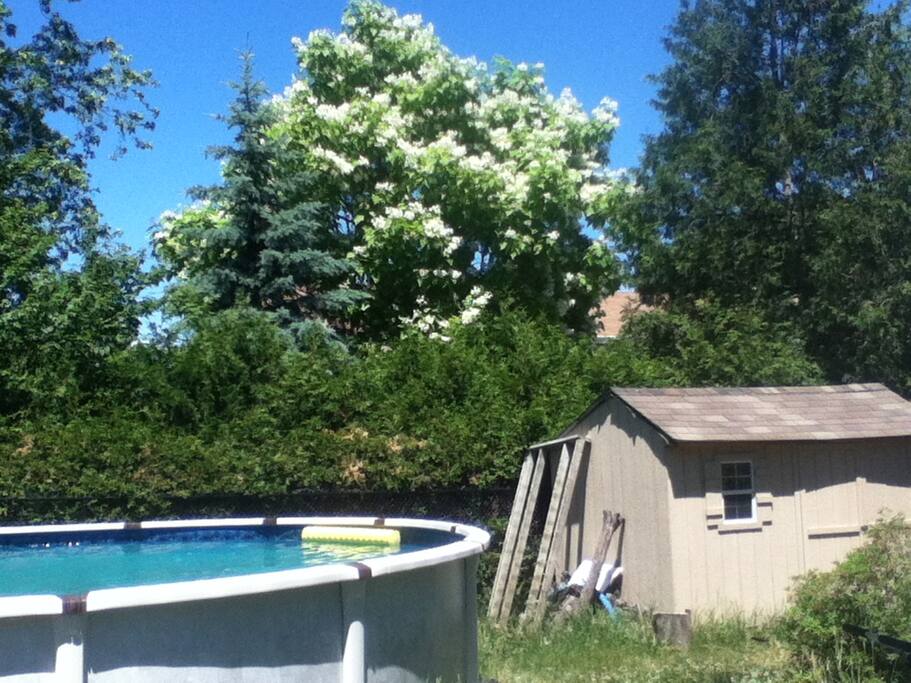 Salt water pool, 21 feet.