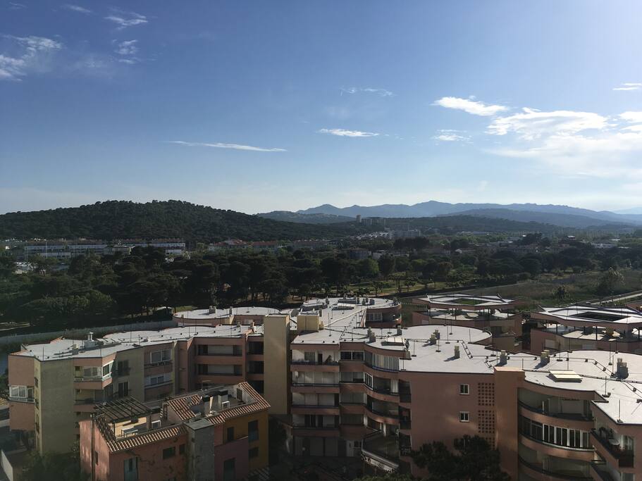 View/Vista/Vue
