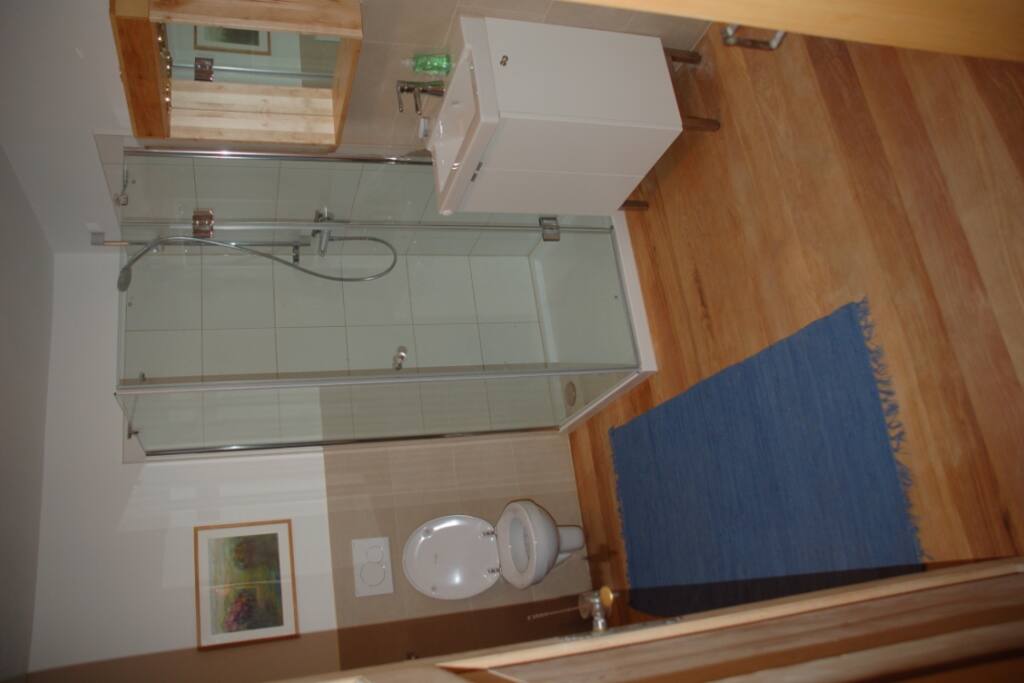 Tageslichtbad mit Dusche