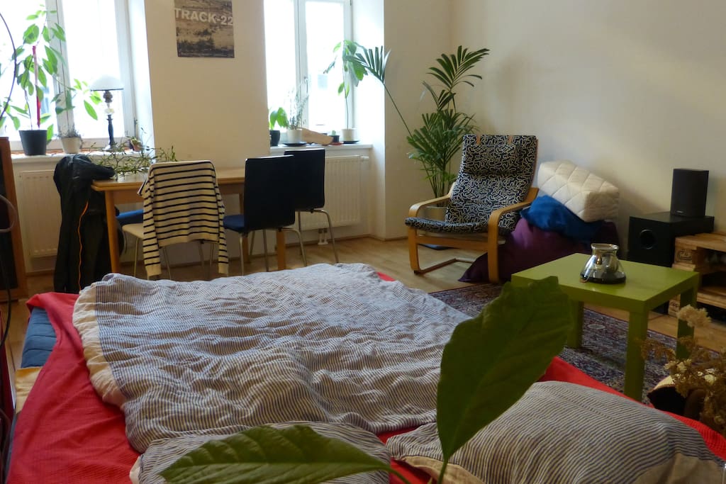 Studio Room