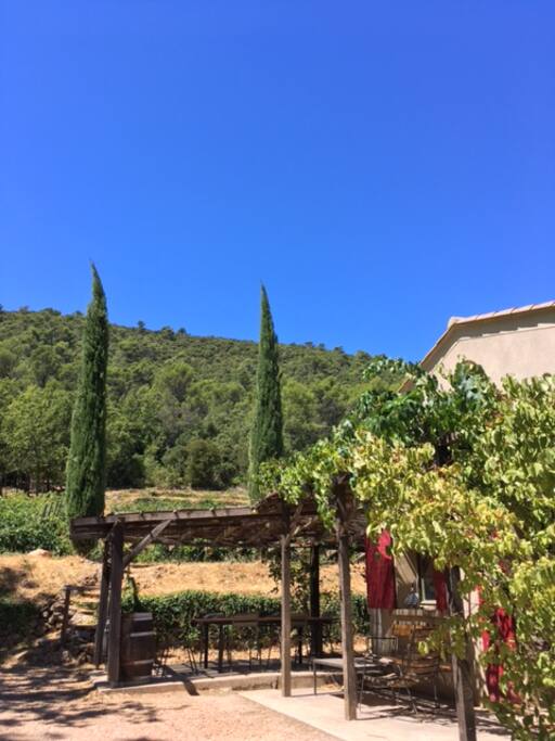 La colline vue du Bastidon