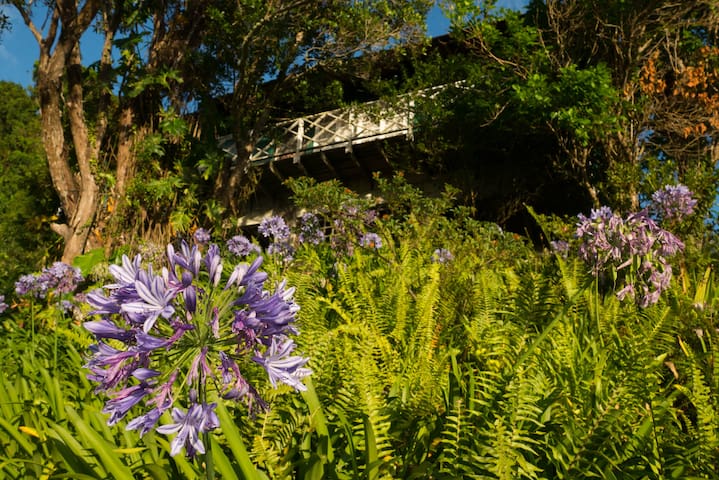 Coffee Farm Cottage In Blue Mountains Jamaica Cottages For Rent