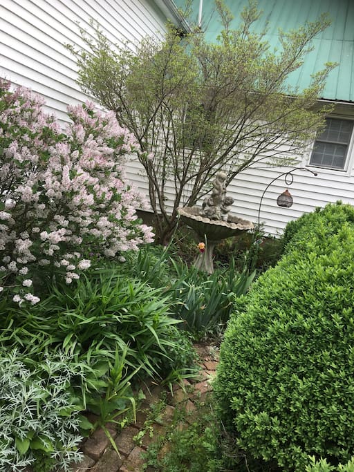 Side entrance of house!