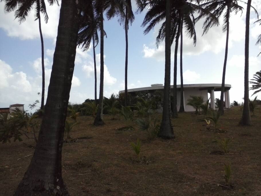 Ambiente ecologicamente conservado