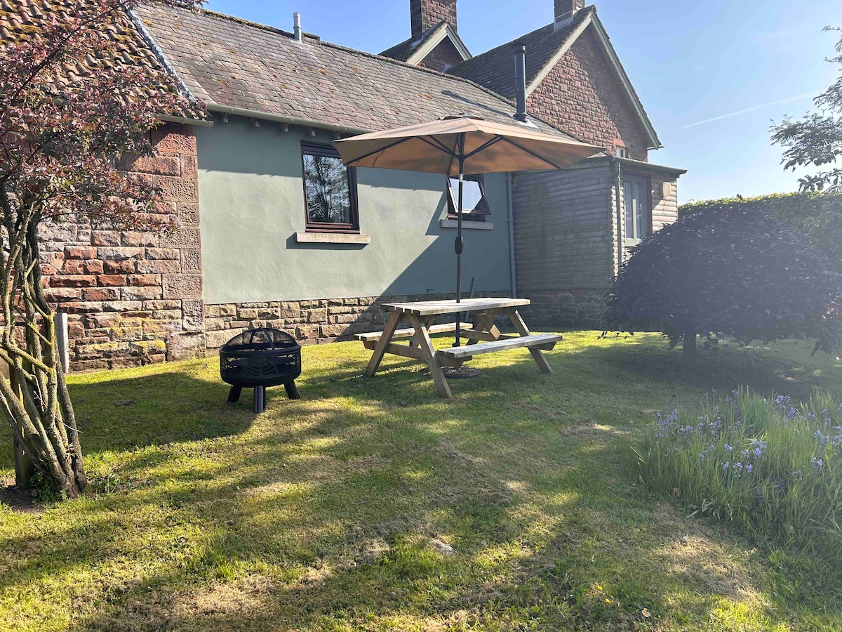 A private outdoor space features a picnic bench shaded by an umbrella, surrounded by green grass and blooming foliage. A fire pit sits nearby, providing an option for outdoor cooking. The annexe's rustic exterior is visible in the background, complemented by clear blue skies.