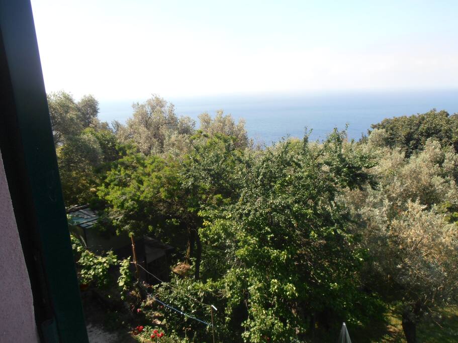 panorama