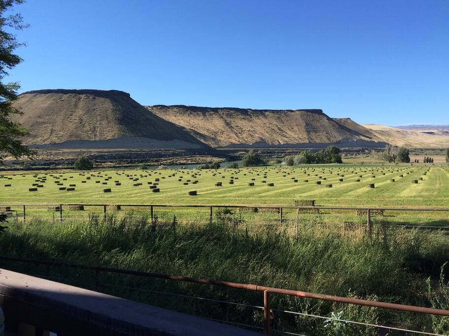 Idaho Bungalow Bunkhouse , Snake River Views Farm stays for Rent in