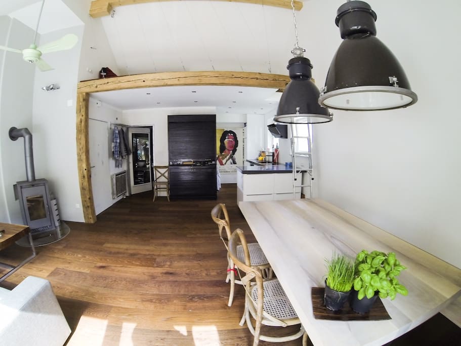 living room with sleeping gallery (over ladder)