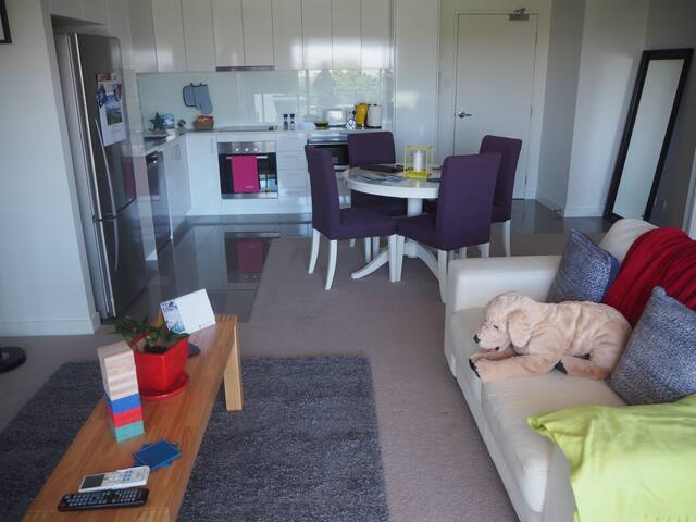 New Modern Highgate Apartment