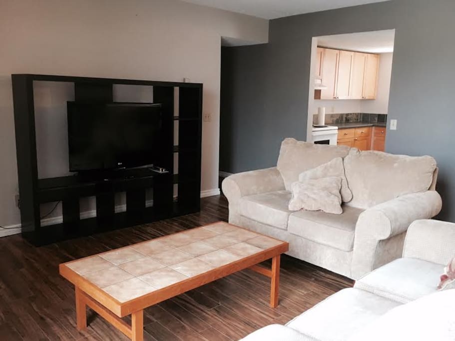 LCD TV & DVD player