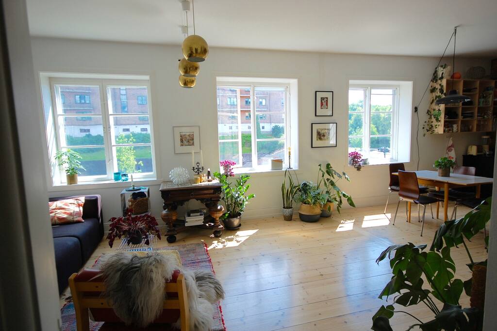 Spacious living room / kitchen