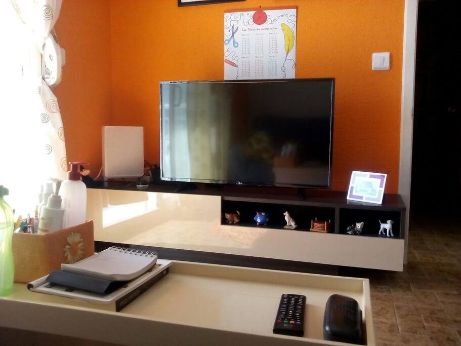 Salle de séjour avec grande télé