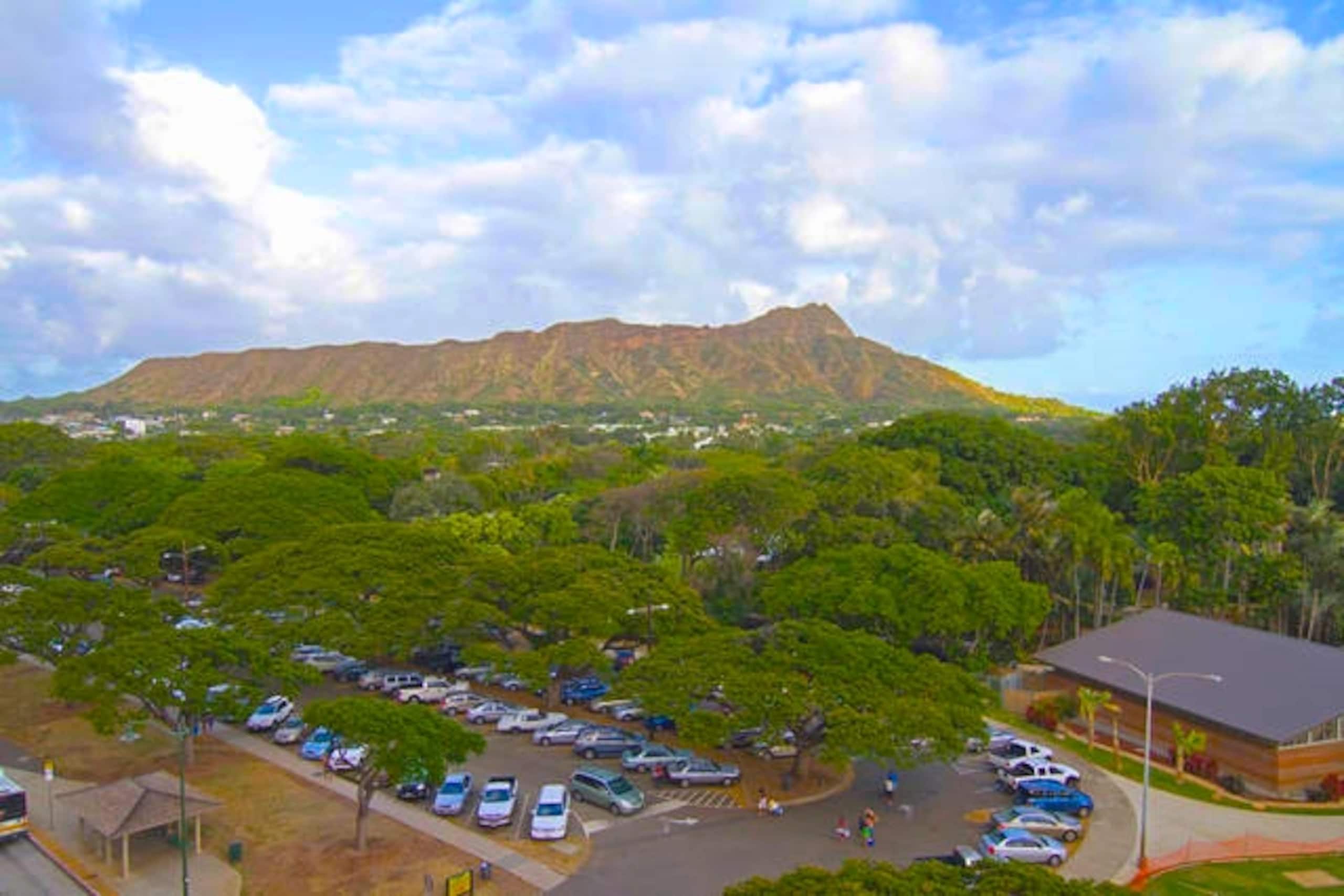 RARE HAWAIIAN DIAMOND - Image 49